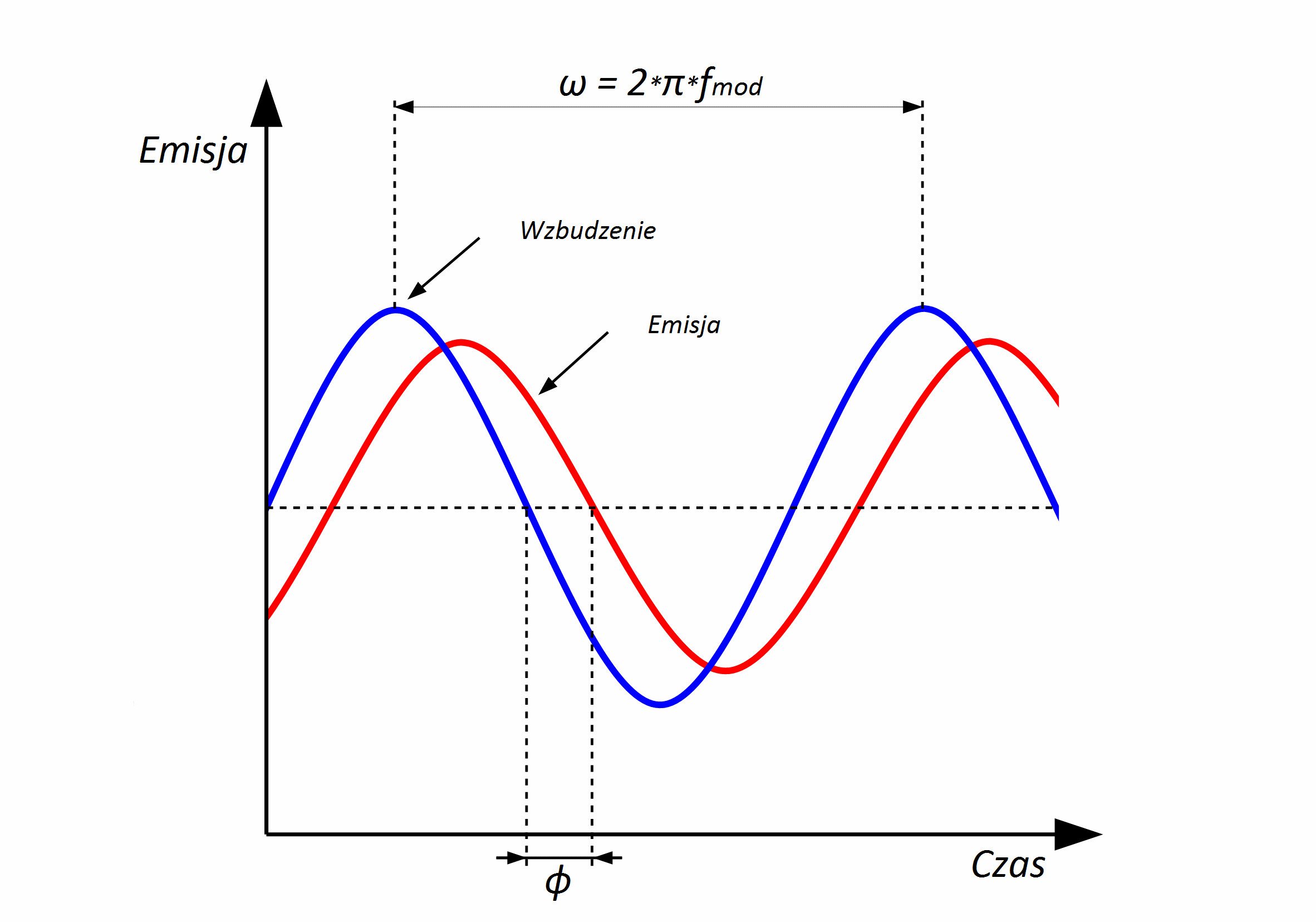 Rysunek tau frequency PL